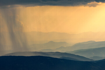 Sommer Regen im Abendlicht