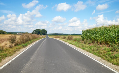 Fototapeta premium A rural asphalt road among fields, Poland.