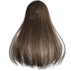 Fototapeta premium Long brown hair, back view, smooth texture