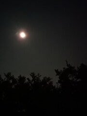 Fototapeta premium moon and clouds