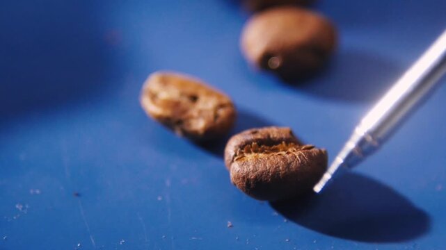 Coffee beans with defects - eaten by insects