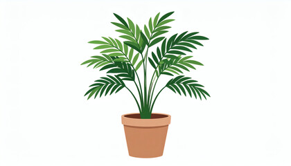 Obraz premium Aesthetic Tropical Plant in a Pot Isolated on White Background for Home Decor, Digital Design, and Creative Projects