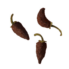 Ancho chile vector