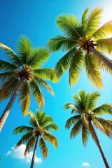 Lush Coconut Palm Trees Swaying Gently in a Tropical Breeze on a Sunny Day, Perfect for Travel and Vacation Themes