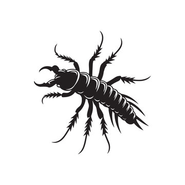 black earwig insect isolated clip art preview
