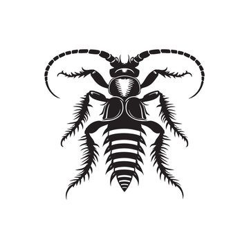 black earwig insect isolated on white clip art preview