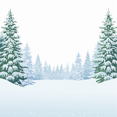 Obraz premium Snowy forest with snowdrifts and snow-covered spruce branches