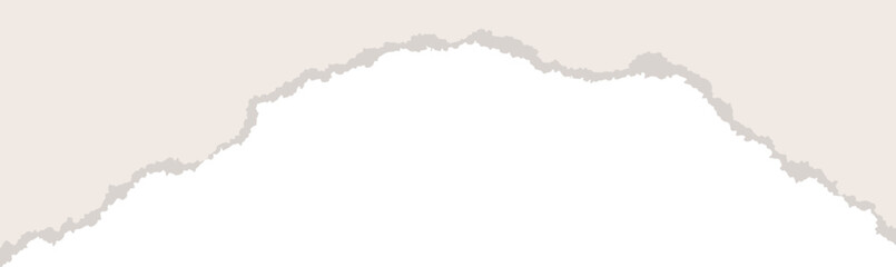 Obraz premium Torn paper with rip edges. Tear piece of sheet. Notebook page for collage and scrapbooking design. Vintage template with rough element. Realistic patche element