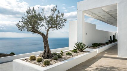 Fototapeta premium Mediterranean Oasis A Serene Modern Villa with Coastal Views, Featuring Olive Trees and Cacti, Evoking Tranquility