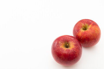 りんご　白バック