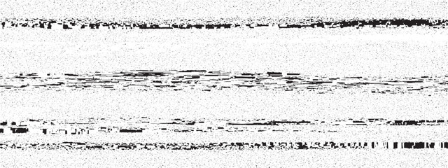 Fototapeta premium Black and white horizontal lines with static noise representing digital distortion and abstract artistic effect