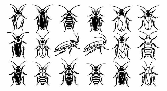Cockroach Insect Pest Bug Beetle Set.