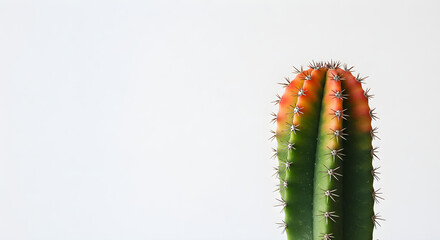 Naklejka premium Minimalist Green Plant Isolated on White Background