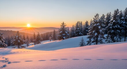 Obraz premium Tranquil winter landscape at sunrise with snow-covered trees and gentle hills.