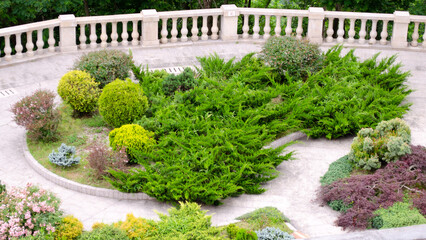 Well maintained park with flower beds and greenery, plants in a summer garden with landscape design.