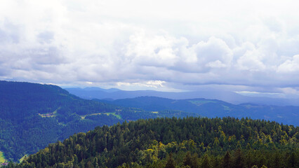 beautiful view of the mountains with trees
