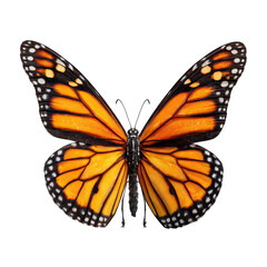 Fototapeta premium Monarch butterfly with fully glowing wings on transparent background