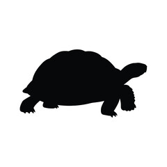Silhouette of a tortoise walking from left to right