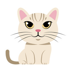 This Burmilla icon is suitable for Cat Breeds, Pets, etc.