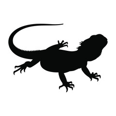 Obraz premium Black silhouette of a bearded dragon lizard on a white background