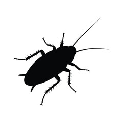Silhouette of a cockroach with long antennae and legs