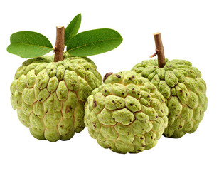 Obraz premium Three green, bumpy fruits with stems and leaves