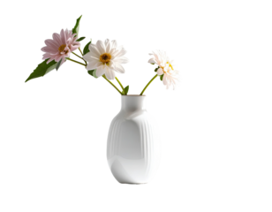 Simple white vase with three flowers