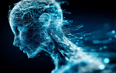 Digital Representation of Human Brain and Neural Network Connections