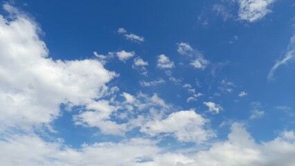 The white, puffy clouds in the lower left and middle parts of the photo are cumulus clouds.
 Cirrus clouds: They are thin, threadlike, feather-like clouds that form at high levels.