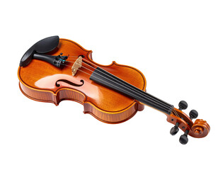 Fototapeta premium Violin, classic, warm hue, lying, on black