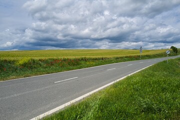 Fototapeta premium 자연 목초 경작 녹색 들판 하늘 구름 아웃도어