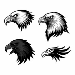 Bald Eagle Heads in Monochrome