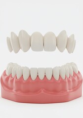 Close up of dental prosthesis showing upper and lower teeth on a white background in studio shot