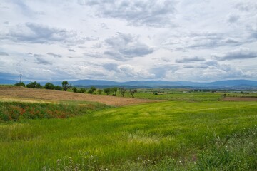 Obraz premium 자연 목초 경작 녹색 들판 하늘 구름 아웃도어