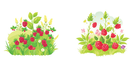 Raspberry thicket in wild meadow tangled bushes vector art set design illustration