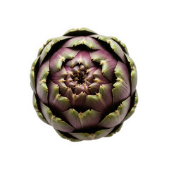 Fototapeta premium Purple artichoke isolated on transparent background with intricate petals
