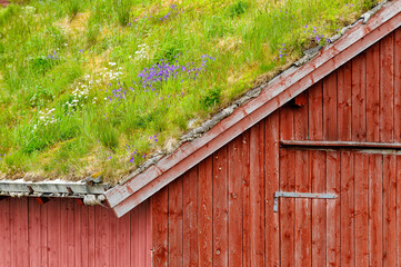 Vibrant wildflowers bloom on a grassy roof of a rustic red wooden building in a scenic rural setting, showcasing sustainable design.