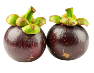 Two mangosteens, whole, glossy, dark purple skin, light green tops