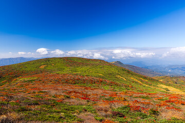 秋色に染まる　栗駒山の絶景　
