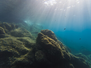 Stunning underwater view of a vibrant coral reef, with sun rays piercing through the crystal-clear blue water, illuminating small fish.