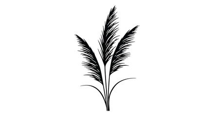 a silhouette of tall palm leaves against white background