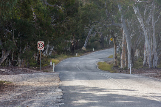 Eighty kilometer speed sign on a country road with trees