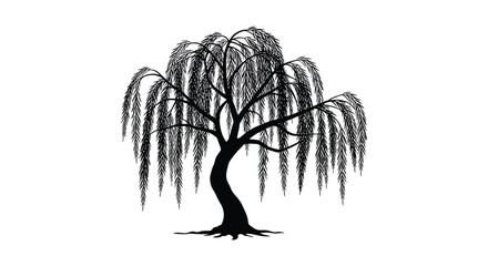 a solitary willow tree with drooping branches and intricate roots