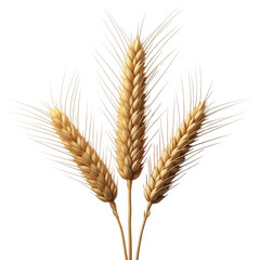 Golden wheat stalks isolated on transparent background