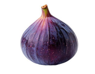 Close-up of a deep purple fig, smooth skin with subtle texture, small speckles, and a pointed top