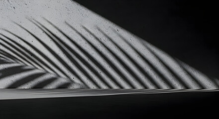 Dramatic shadows of palm leaves cast on a textured white wall, creating a minimalist and elegant backdrop for your next design project or artistic inspiration.