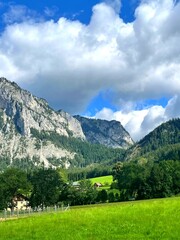 Wide green meadow with mountain cliffs and forest in Austria. Peaceful alpine valley landscape with clear sky, perfect for travel, relaxation and nature photography themes.