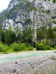 Beautiful clear mountain river surrounded by lush green forest in Nationalpark Gesäuse, Austria. Peaceful alpine nature landscape with fresh water, trees and rocky under cloudy sky. Perfect for travel