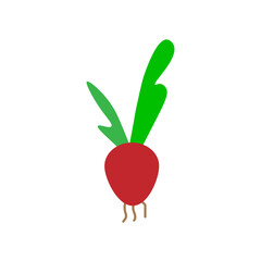 radish