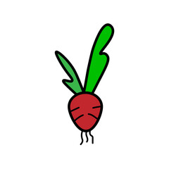 radish 